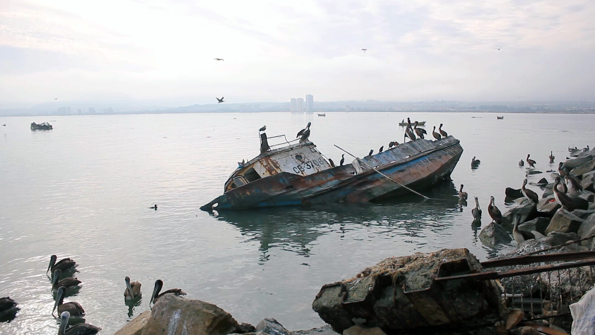 Anteprima di “REMOTO” di Francesco Di Tillo al Sereno Regis